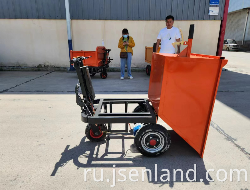 Custom Color Electric Tricycle